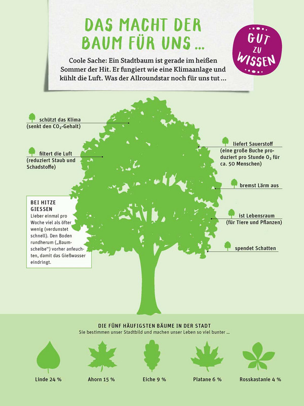 Illustrierter grüner Baum mit Beschriftung