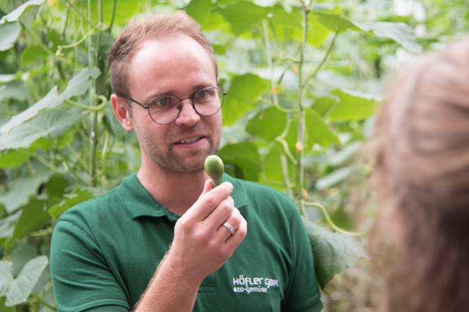 Patrick Höfler zeigt grüne Tomate