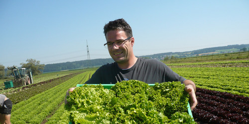 Herr Stockner mit einer Kiste Salat