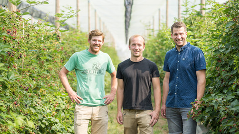 Das Bild zeigt drei junge mitarbeitende Männer des Kastanienhofs in einem Gewächshaus
