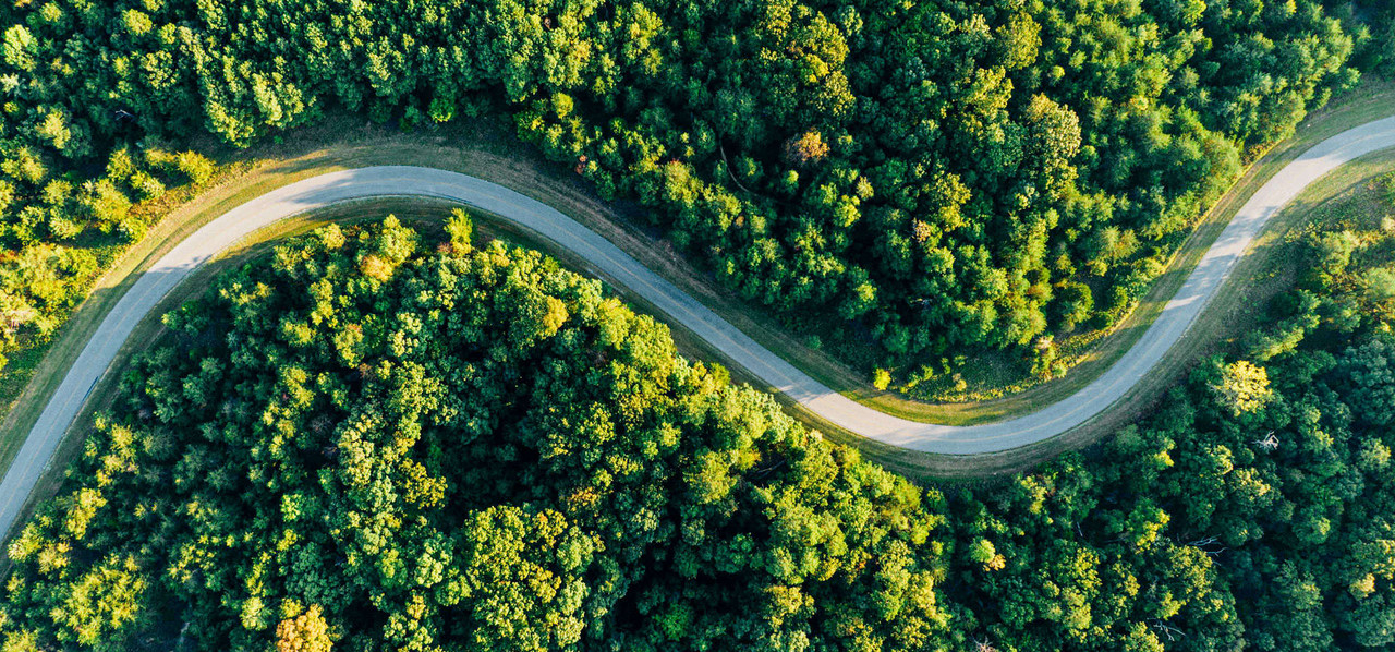 Eine Straße, die sich durch den Wald schlängelt.
