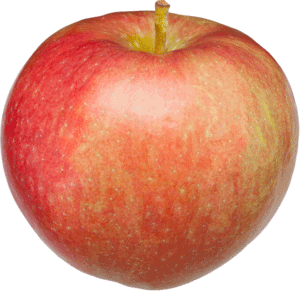 Abbildung Apfel