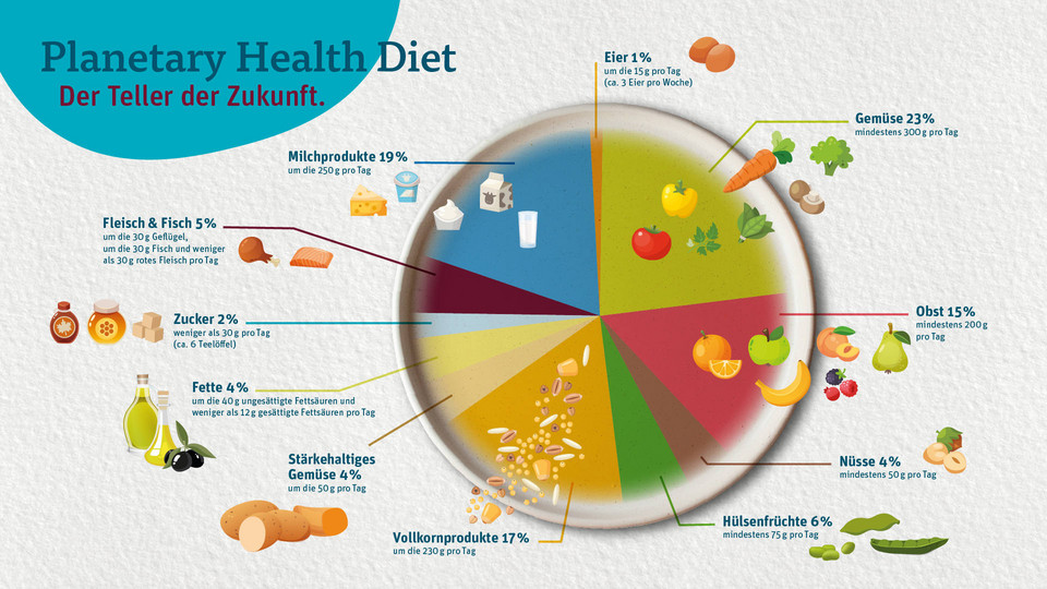 Ein Kreisdiagramm, welches aufzeigt wie viel von welcher Lebensmittelgruppe ich, bei einer Planetary Health Diet, zu mir nehmen sollte