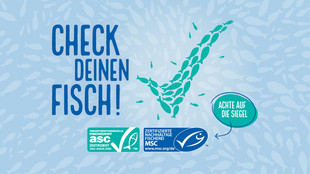 Das Titelbild der MSC und ASC Kampagne: Check deinen Fisch