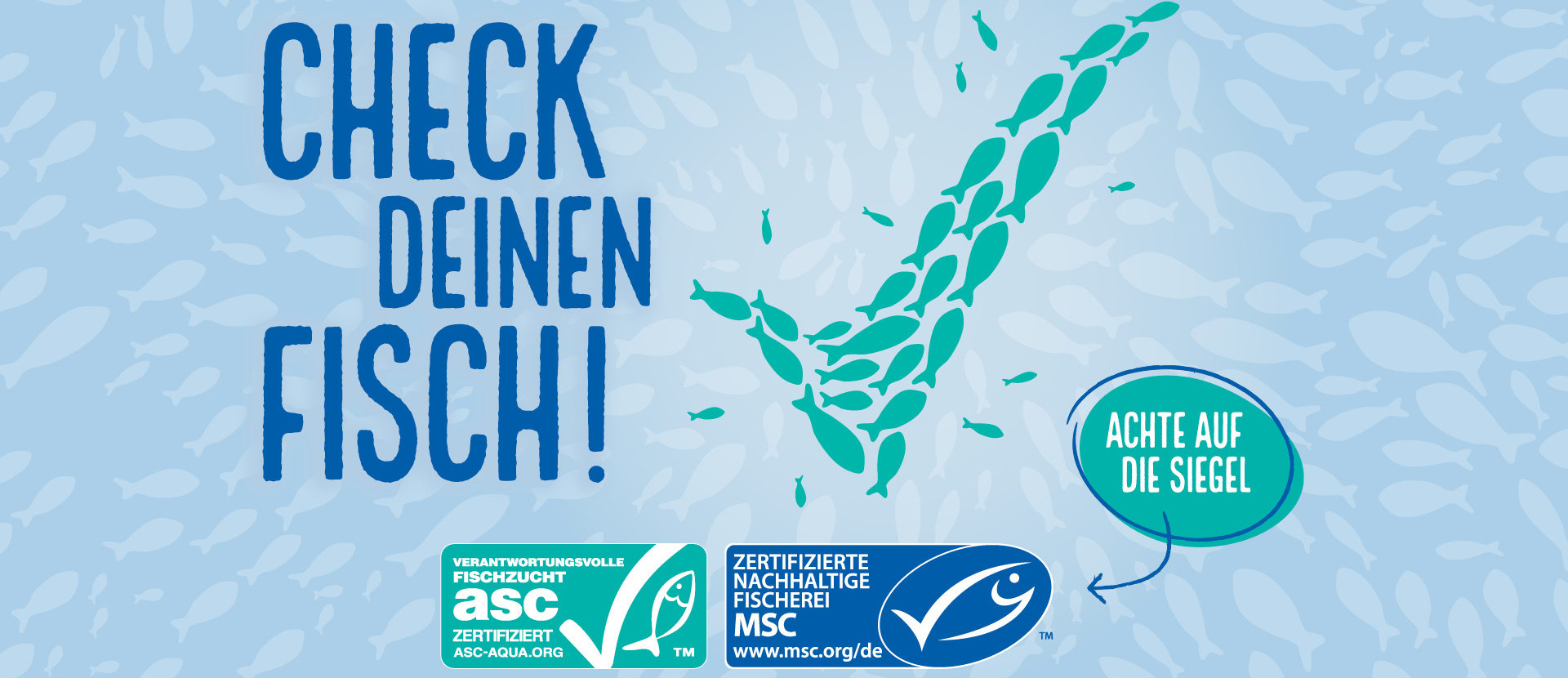 Das Titelbild der MSC und ASC Kampagne: Check deinen Fisch
