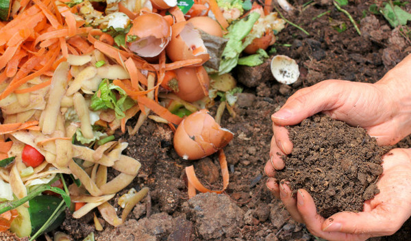 Erde wird von zwei Händen gehalten, während sich im Hintergrund ein Komposthaufen befindet.