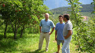 Mitarbeiter in Apfelgarten