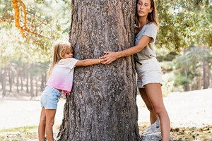Eine Frau und ein Kind umarmen einen großen Baum