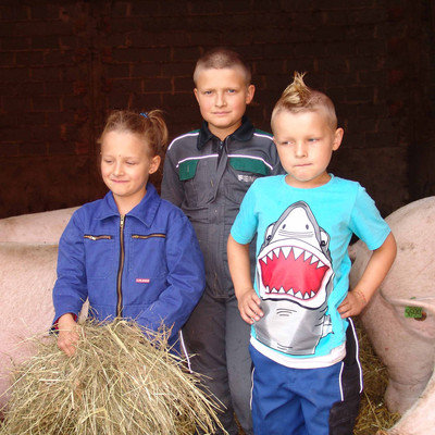 Drei Kinder halten Stroh im Schweinestall