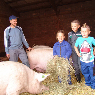 Landwirt und drei Kinder im Schweinestall