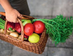 Nachhaltige Lebensmittel Korb mit Obst und Gemuese