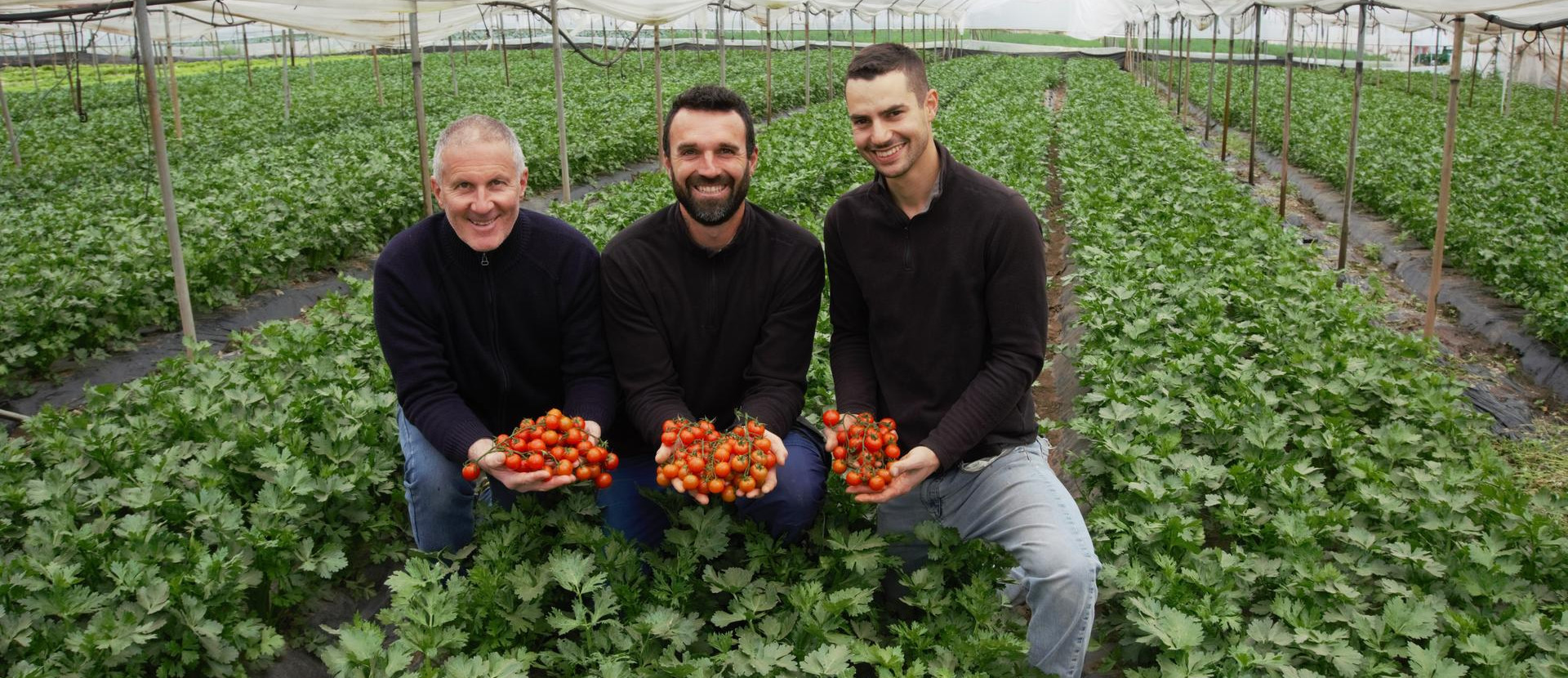 Frei Männer in einem Tomaten Zuchthaus mit tomaten in den händen