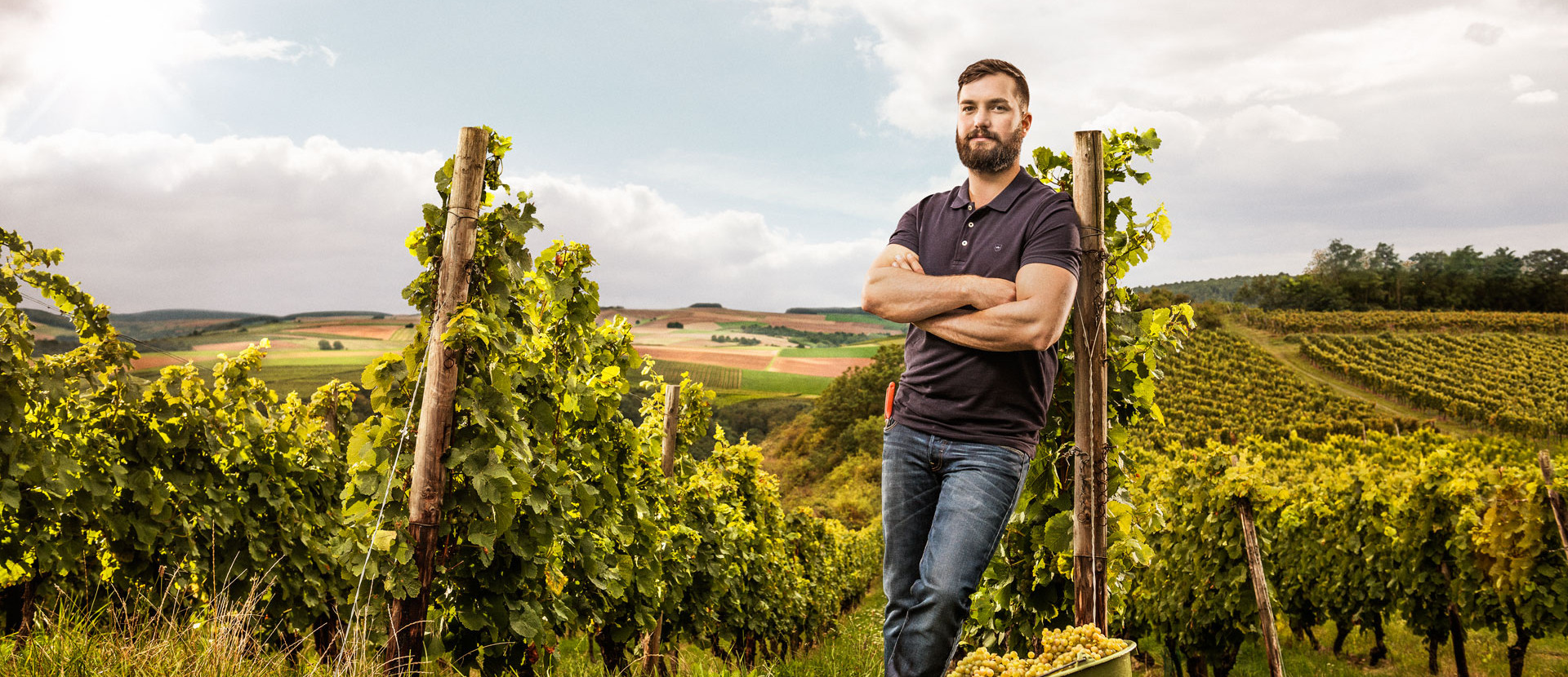 Mann vor Weinberg