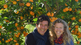 Eine Frau und ein Mann vor einem Orangenbaum