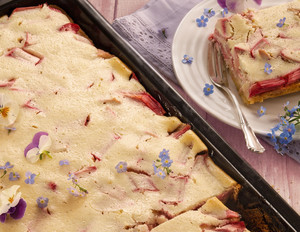 Rhabarberkuchen mit Quarkcreme