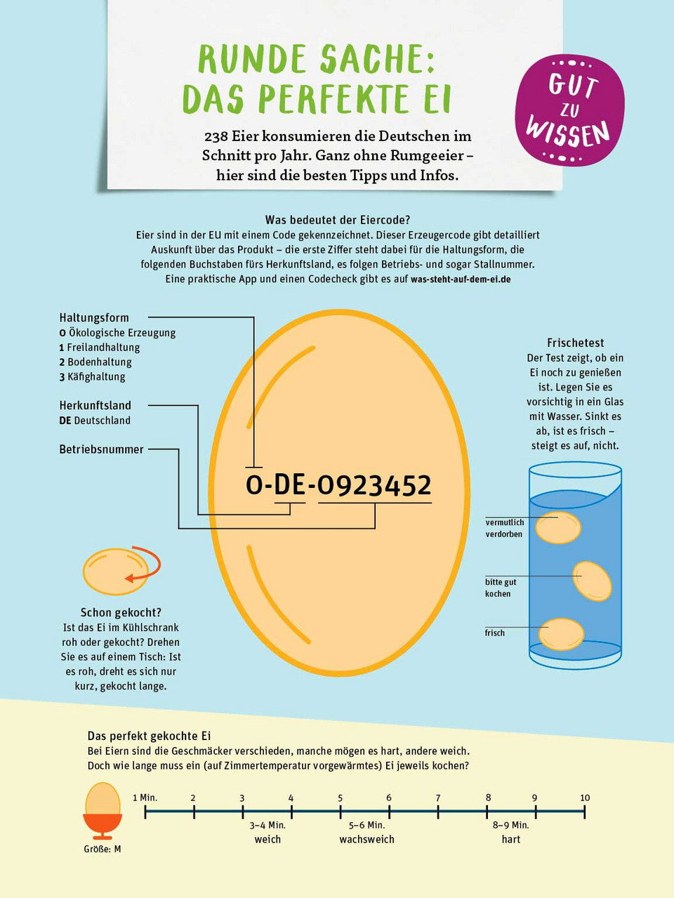 Illustriertes Ei mit Infos zu Haltbarkeit und Zubereitung