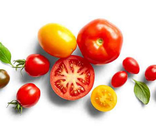 Die rote Freude: Tomaten-Know-how