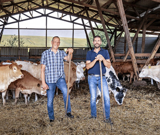 Zwei Männer stehen in einem Stall mit einer Mistgabel in der Hand, während sich Rinder im Hintergrund herumlaufen