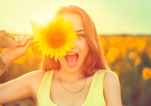 Sonnenblumen lieben die Sonne