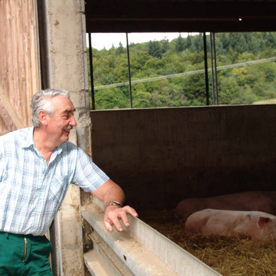 Landwirt blickt auf Schweinestall