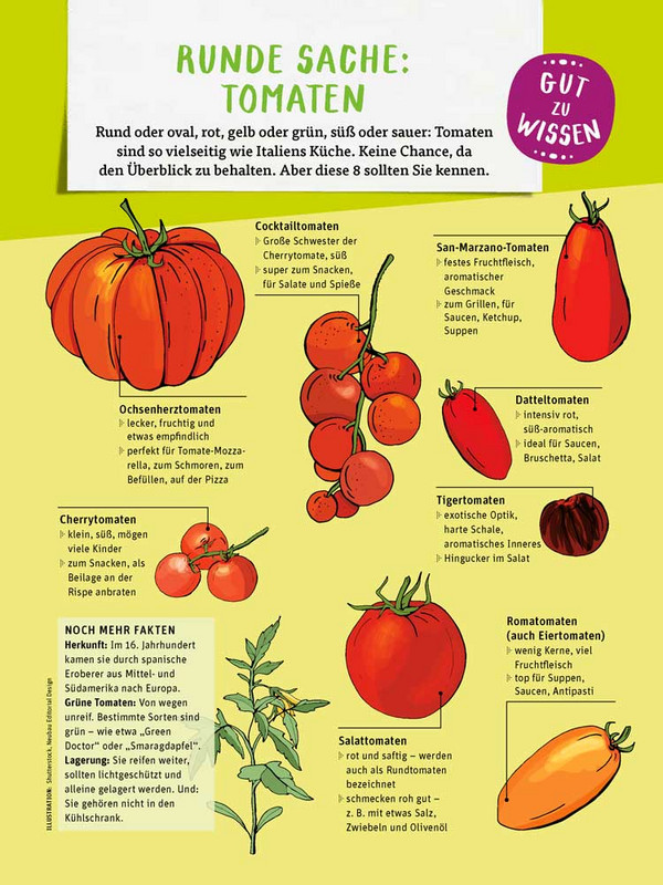 Acht illustrierte Tomatensorten mit Beschreibung