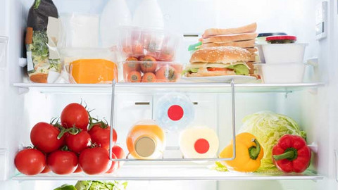 Blick in einen gefüllten Kühlschrank, der Lebensmittel richtig lagert