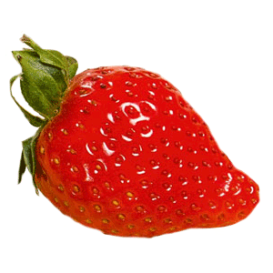 Abbildung Erdbeere