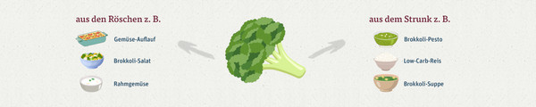Zero Food Waste Grafik Brokkoli komplett verwerten
