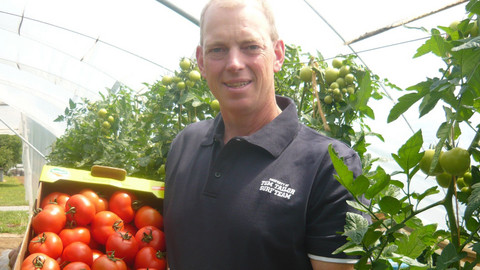 Das Bild zeigt den Erzeuger-Betrieb Frauenfeld in Baden-Württemberg mit dem Betriebsleiter, wie er gerade eine Kiste Tomaten in den Händen hält.
