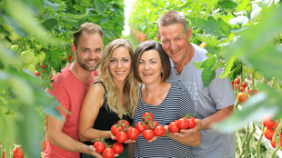 Vier Mitarbeiter und Mitarbeiterinnen stehen zwischen zwei Tomatenpflanzreihen, jeder hält eine Tomatenrispe mit reifen roten Früchten in der Hand