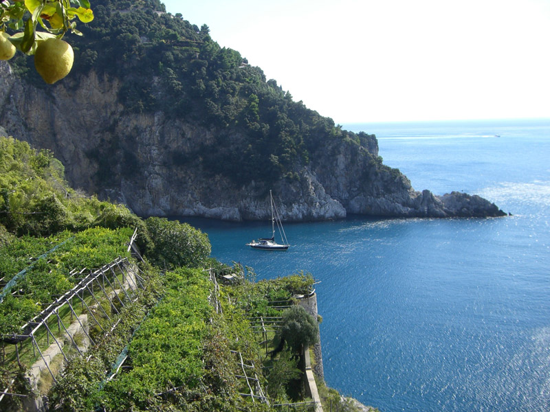 Steilerhang mit Zitronenbäumen und Blick aufs Meer.