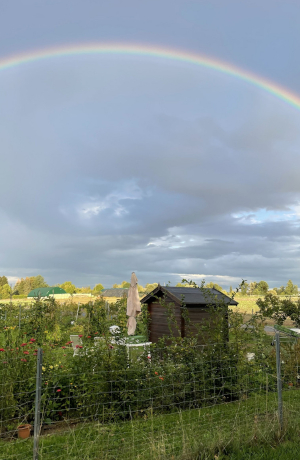 Ein Regenbogen erstreckt sich über dem tegut Saisongarten