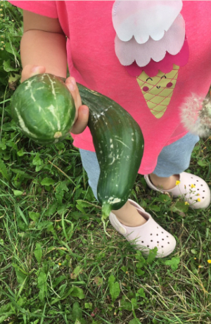 Ein Kind hält zwei Zucchinis in der Hand
