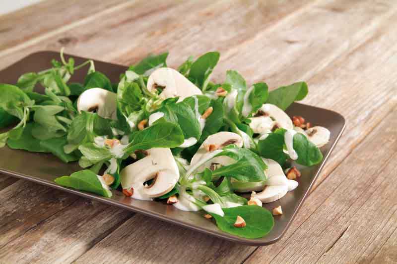 Teller mit einem frischen Salat mit Champignons 