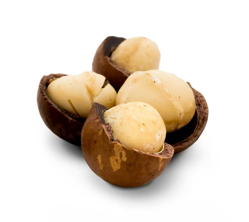 Macadamianüsse mit Schale
