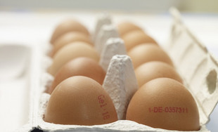 Eierkarton mit frischen Eiern