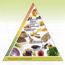 Ernährungspyramide mit pflanzlichen Lebensmitteln