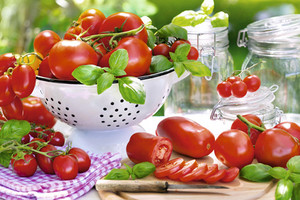 verschiedene tomaten mit basilikum