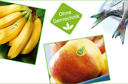 Bananen, Äpfel, Fisch, ohne Gentechnik-Logo