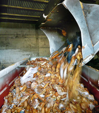 Große Masse an Brot und Backwaren werden in einen Müllcontainer geleert