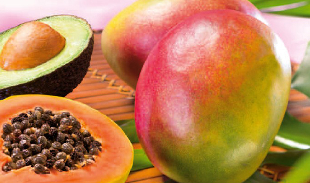 issmich Früchte, mango, avocado, papaya